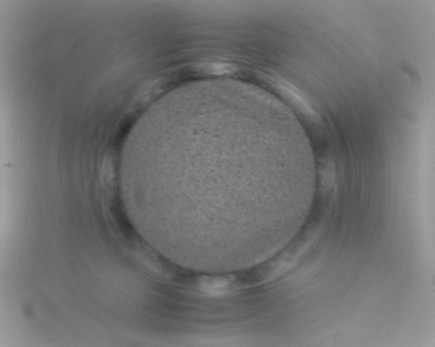 X0000115580373200911241518