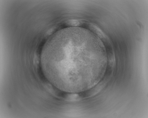 X0000115580374200911241518