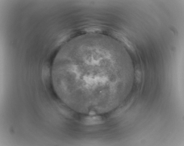 X0000115580375200911241518