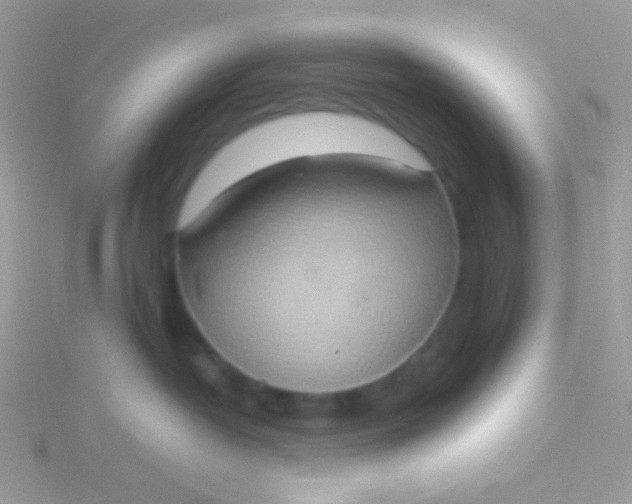 X0000115580382200911241518