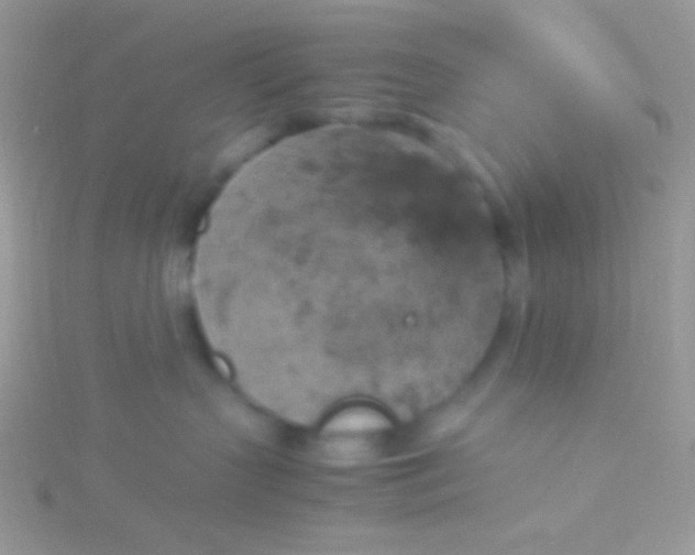 X0000115580383200911241518