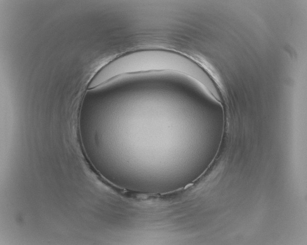 X0000115580385200911241517