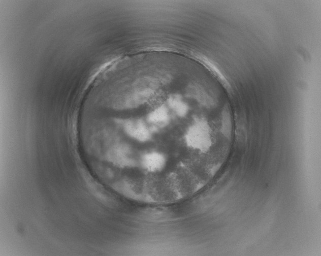 X0000115580386200911241517