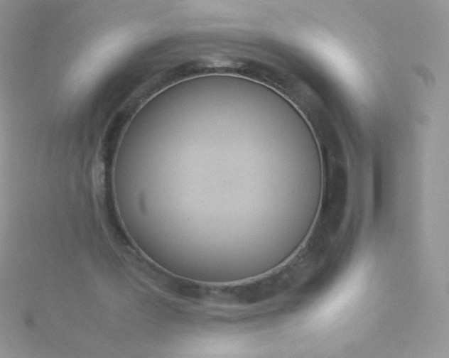 X0000115580387200911241517