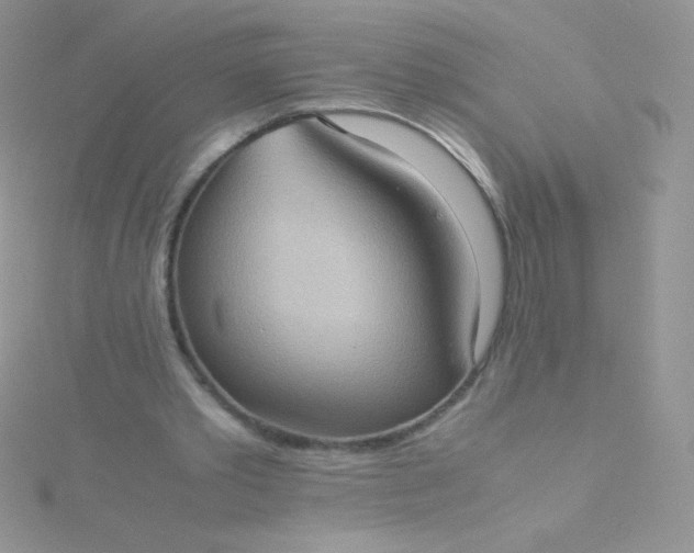 X0000115580389200911241517