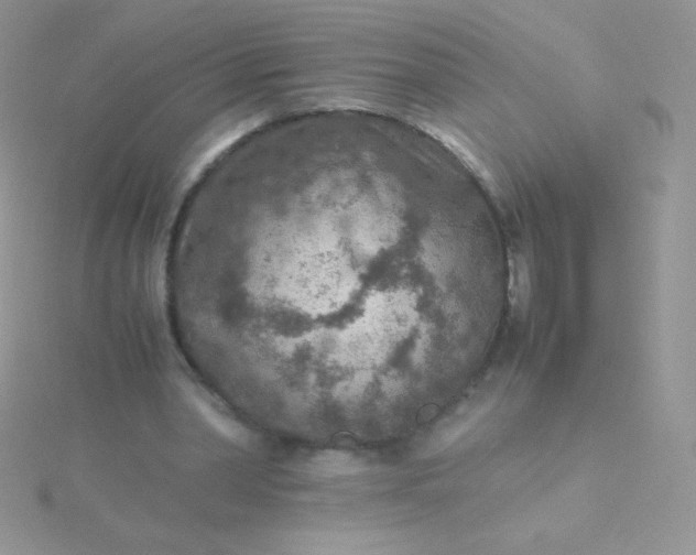 X0000115580390200911241517