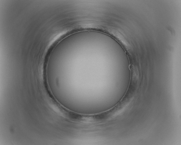 X0000115580391200911241517