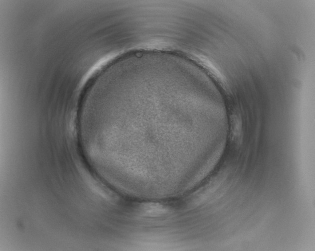 X0000115580392200911241517