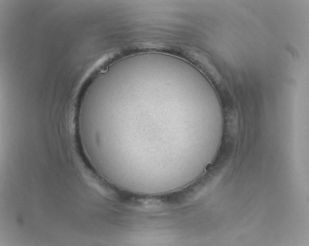 X0000115580395200911241517