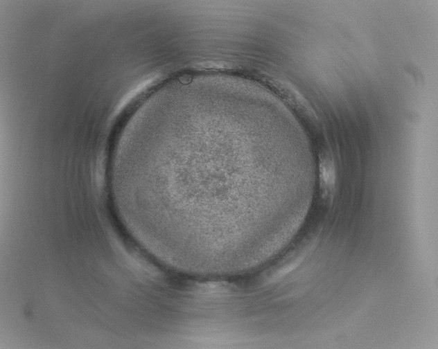 X0000115580396200911241517