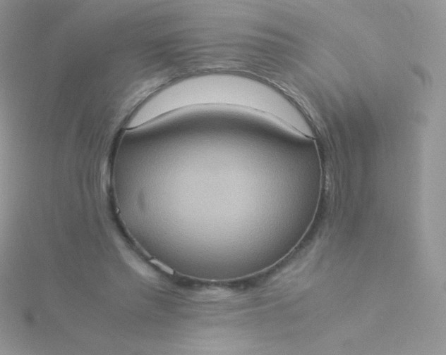 X0000115580397200911241517