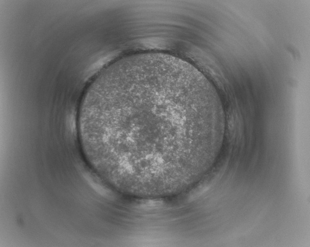 X0000115580398200911241517