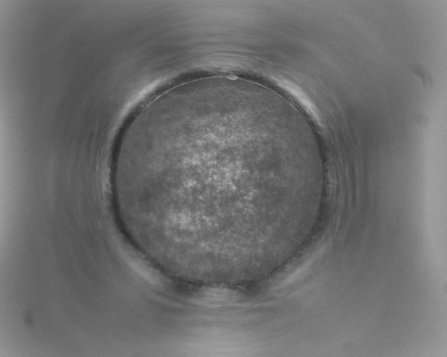 X0000115580399200911241517