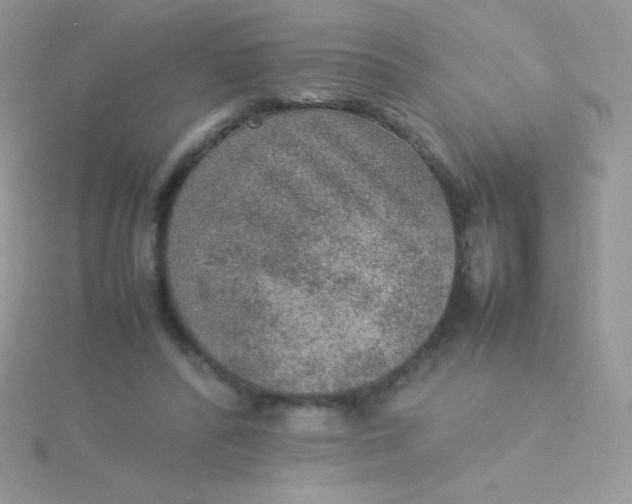 X0000115580400200911241517