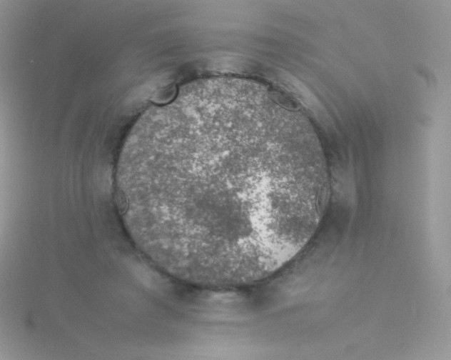 X0000115580401200911241517