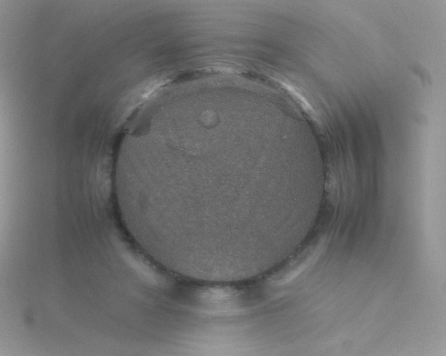 X0000115580402200911241517