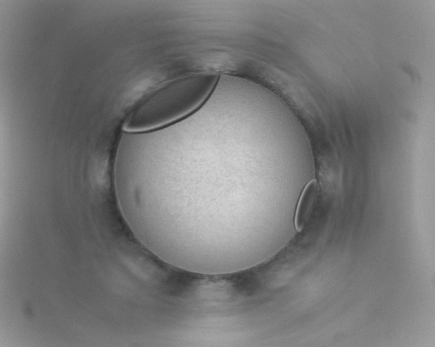 X0000115580403200911241517