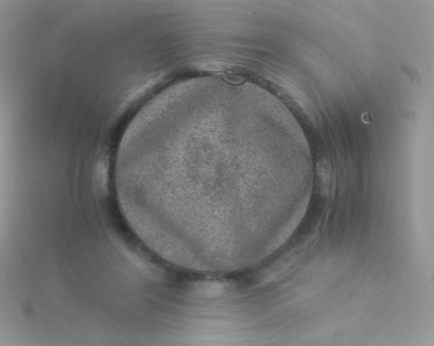 X0000115580404200911241517