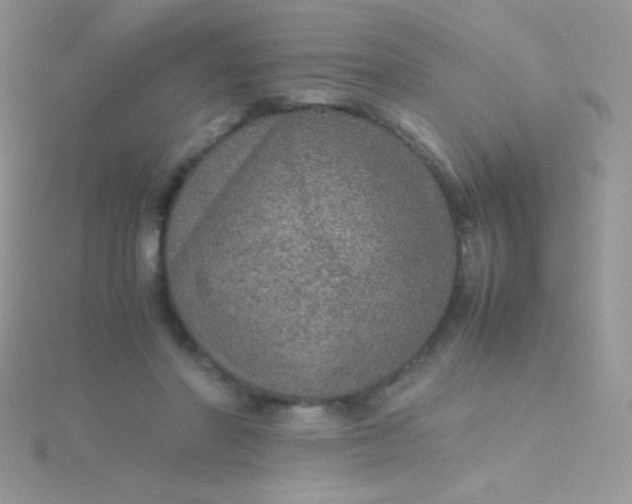 X0000115580406200911241517