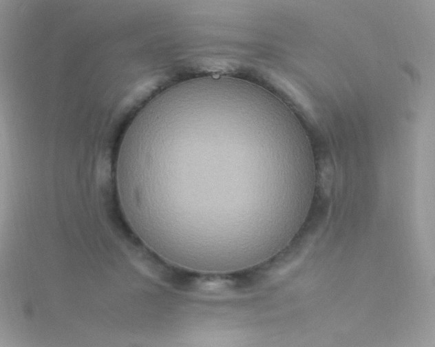 X0000115580407200911241517