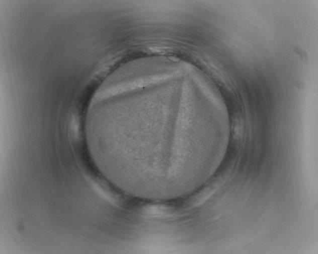 X0000115580408200911241517