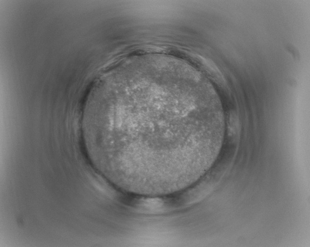 X0000115580409200911241517