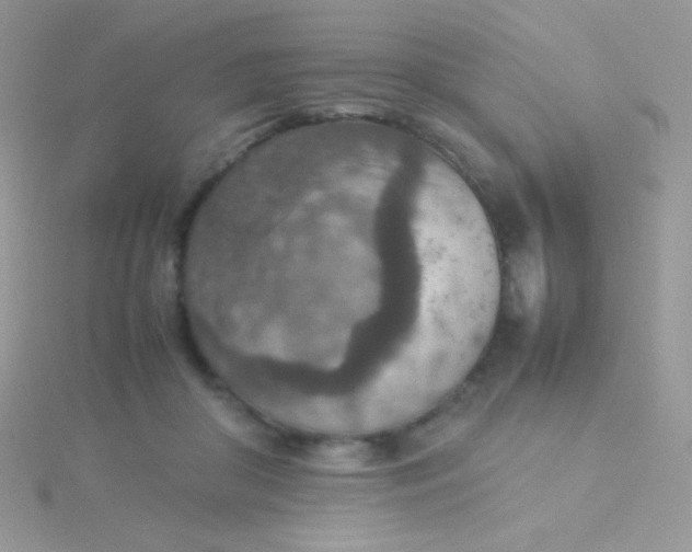 X0000115580410200911241517