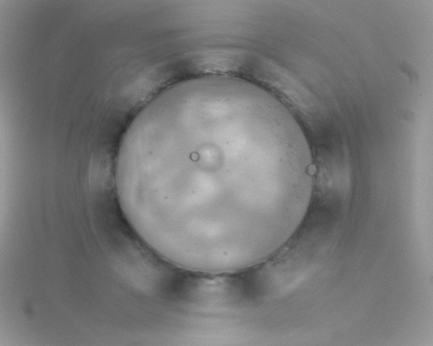 X0000115580411200911241517