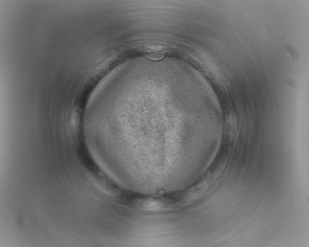 X0000115580412200911241517