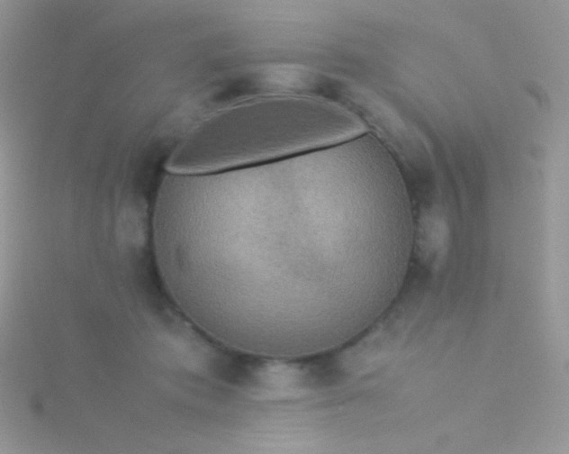 X0000115580413200911241517