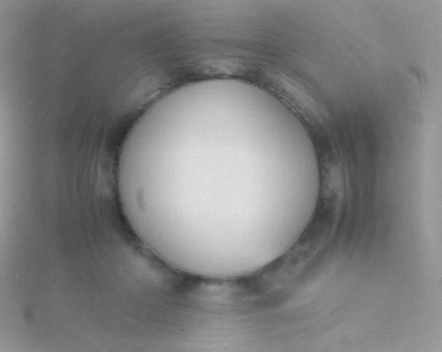 X0000115580414200911241517