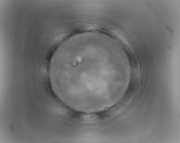 X0000115580415200911241517