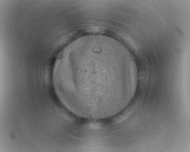 X0000115580416200911241517