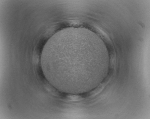 X0000115580417200911241517