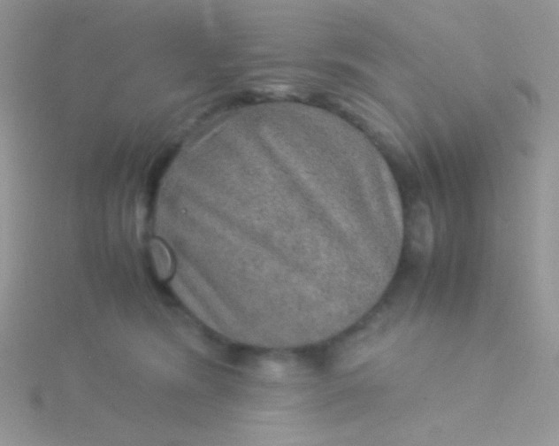 X0000115580420200911241517