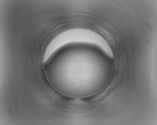 X0000115580421200911241517