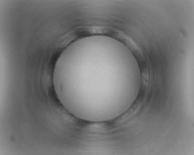 X0000115580422200911241517