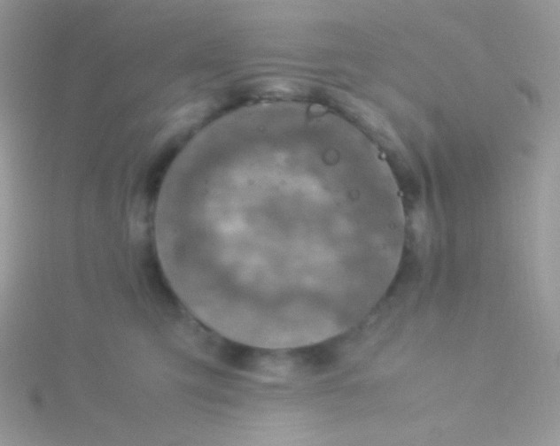 X0000115580423200911241517