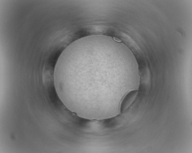 X0000115580425200911241517