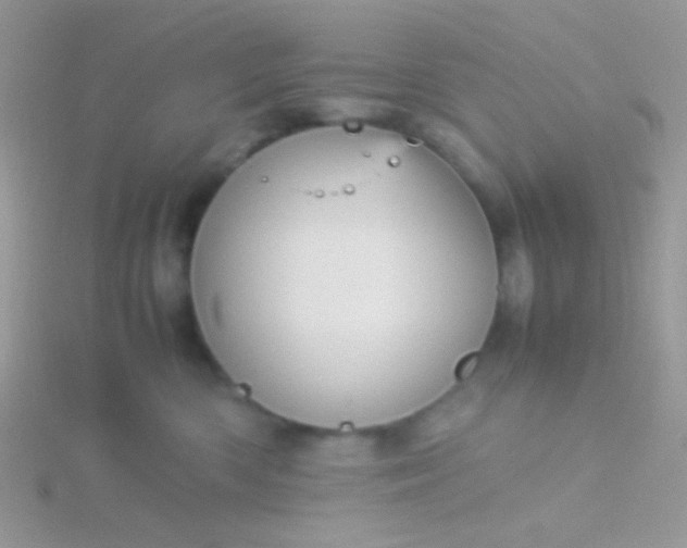 X0000115580426200911241517