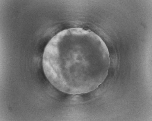 X0000115580427200911241517