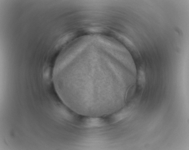 X0000115580428200911241517