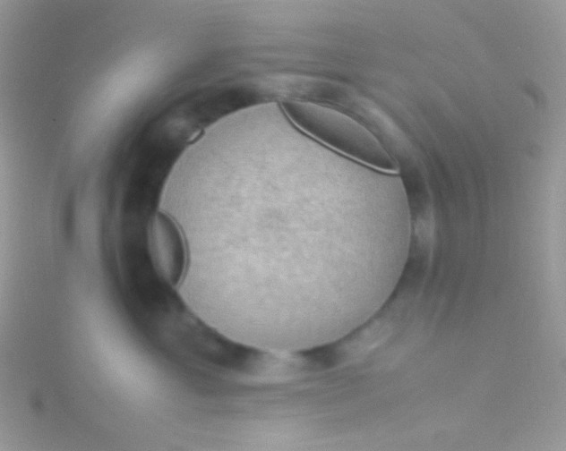 X0000115580429200911241517