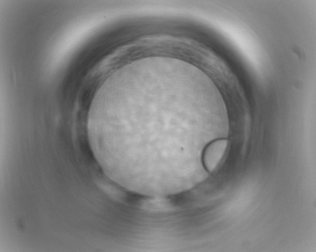 X0000115580431200911241516