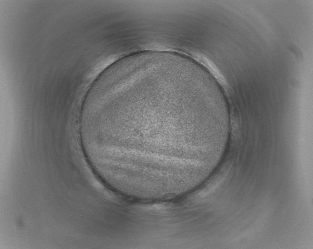 X0000115580433200911241516