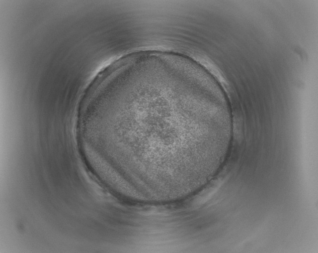 X0000115580434200911241516