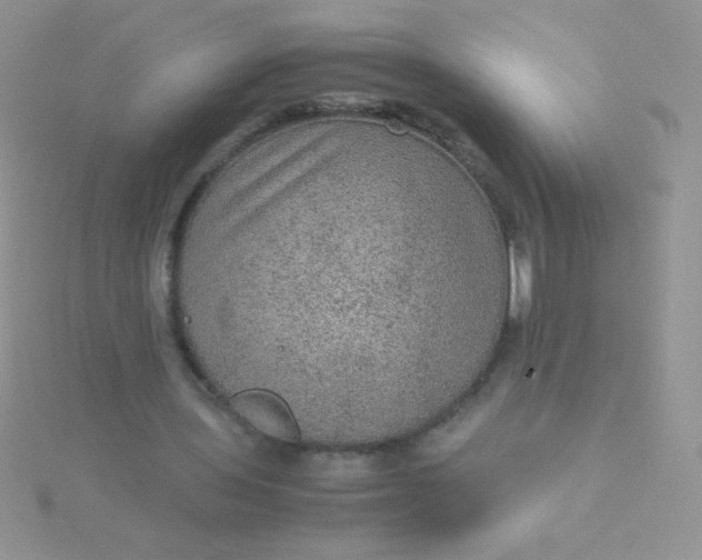 X0000115580435200911241516