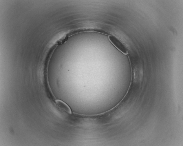 X0000115580436200911241516