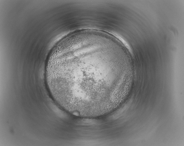 X0000115580437200911241516