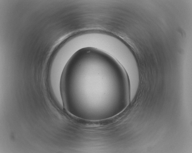 X0000115580440200911241516